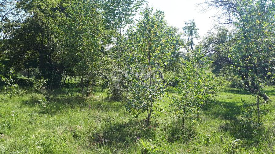 Teren cu livada de vanzare in Albesti de Muscel - 5