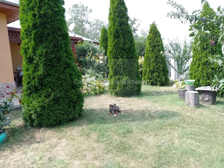 Casă de vacanță modernă cu teren generos –15min de Tecuci - 24