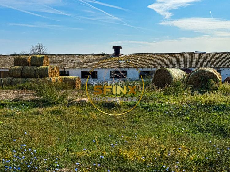 Teren intravilan 62000mp - ferma - logistica - depozitare - 14