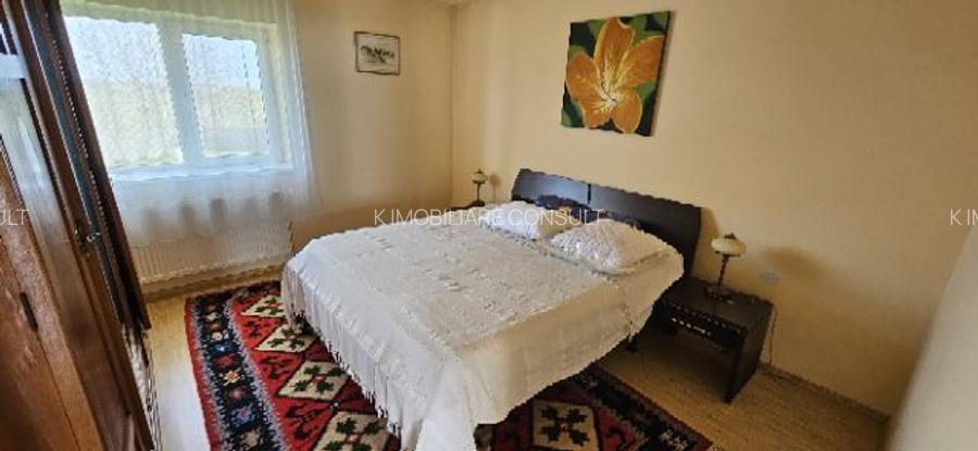 Ciopani vila 5 camere teren 4000 mp - 27