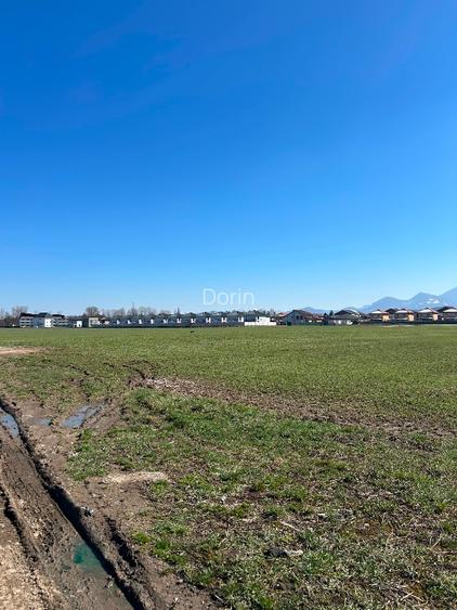 Vand 8112  mp teren industrial/comercial in BRASOV-Bartolomeu - 3