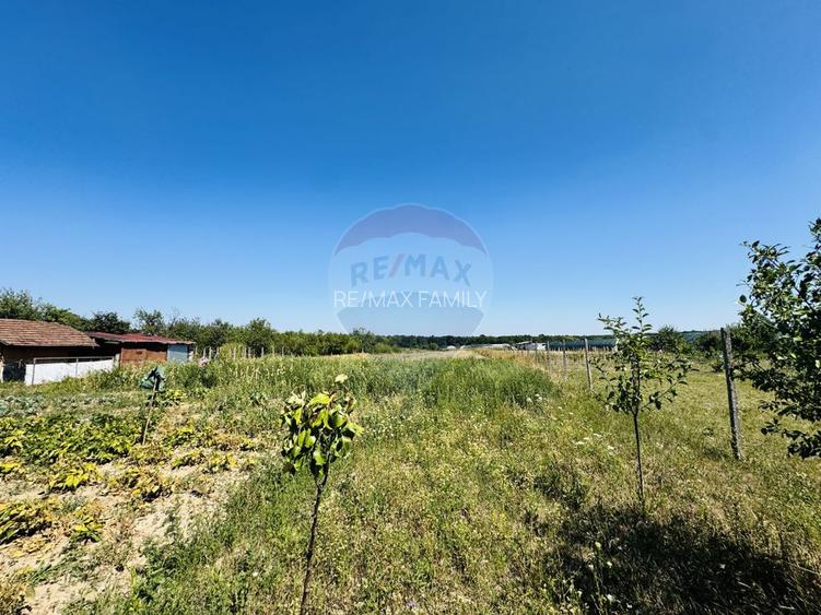 Teren 6,210mp Apateu / Strada Principala - 18