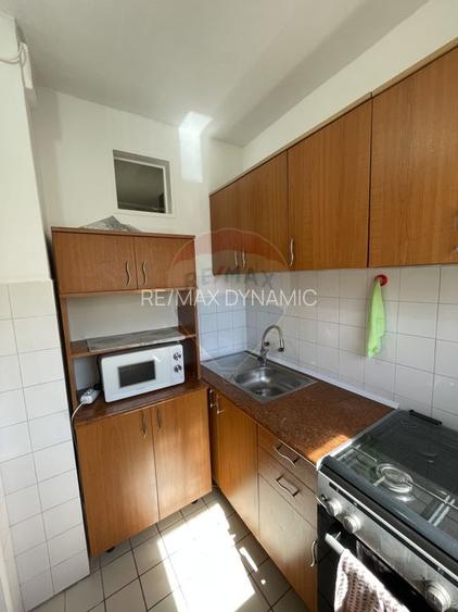 Apartament cu 1 camera in Micalaca - 9