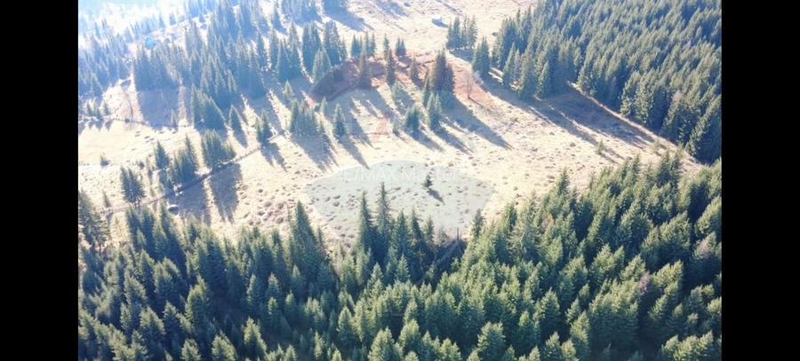 Teren 16,289mp Coverca / Drumul Bucinis - 5