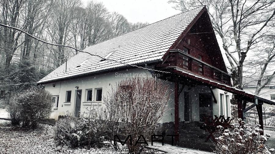 Casa de vacanta cu teren 2000mp Valea Avrigului - 2