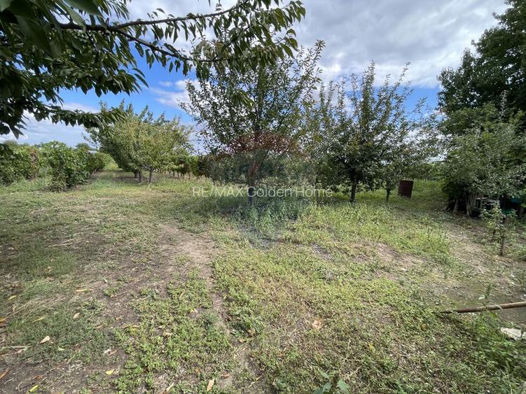 Casă Tifesti teren si vie - 30