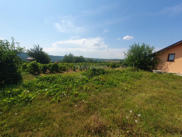 Casa  moderna mobilata cu beci 165mp +3000mp teren Cotnari - 33