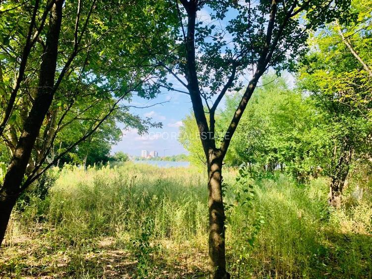 2066 mp teren deschidere lacul Grivita 24m zona deosebita in Damaroaia - 5