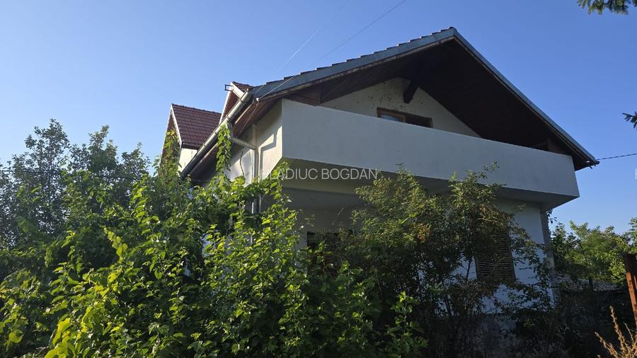 Casă individuală P+E + 2 anexe, teren 3.052 mp – Dârvări, jud. Călărași - 4