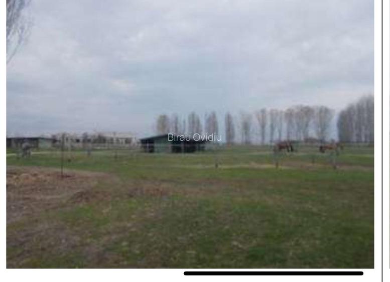 HUB Logistic intermodal 9,1 ha acces direct la DN 59/E70 JEBEL ,Timis - 12