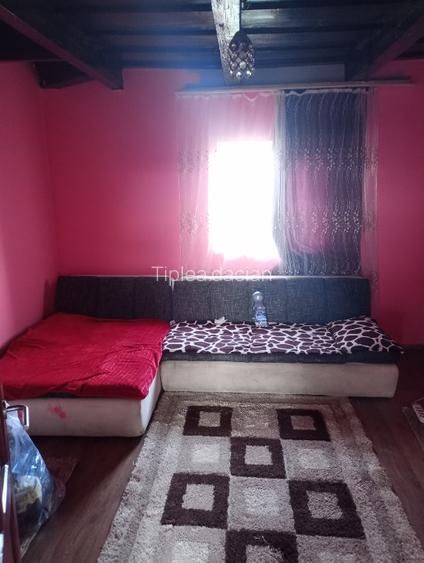 Teren+casa intravilan Ciuperceni - 3