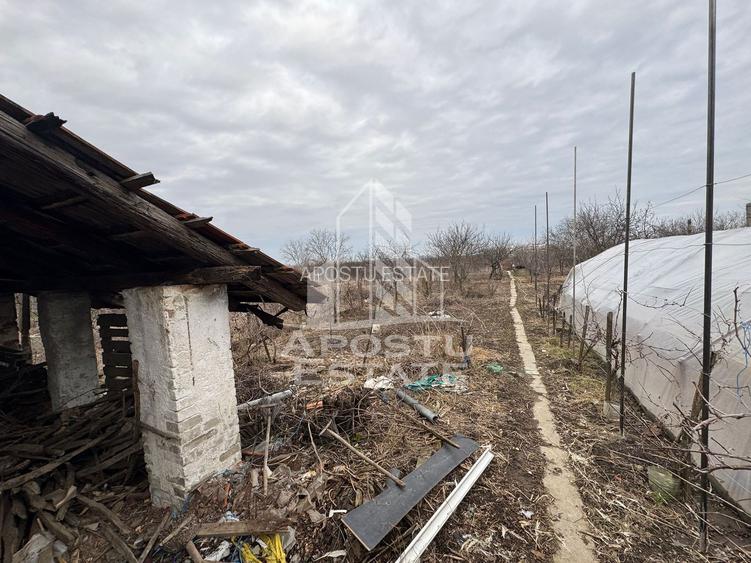 Casa - zona Aradul Nou - 10