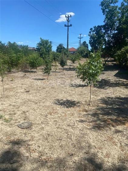 Oportunitate de investitie || teren de vanzare || 933 mp Prahova || - 3