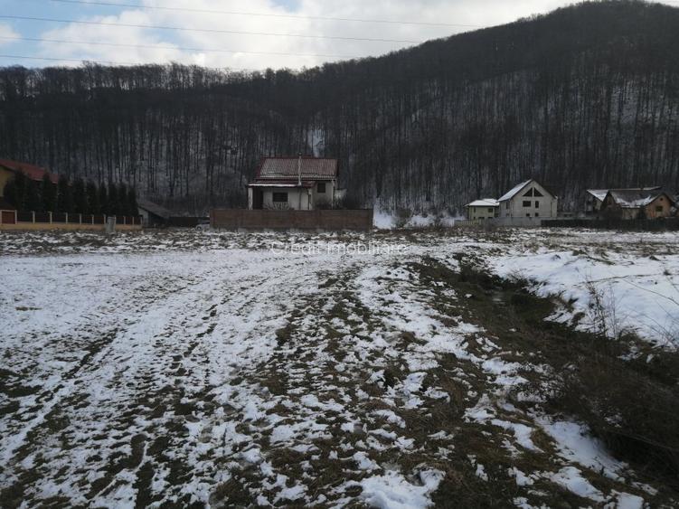 Teren de vanzare - 5