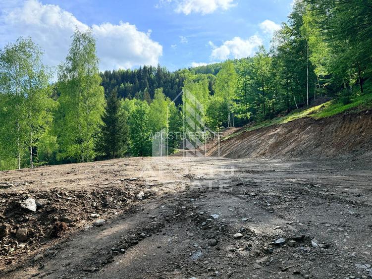 Oportunitate! Domeniu montan, cu lac propriu, oras Lupeni, Hunedoara - 28