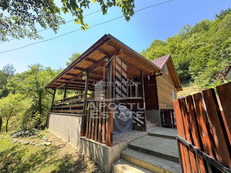 Casa din lemn, zona muntoasa, cu rau, la cheie, Ribita, Hunedoara - 55