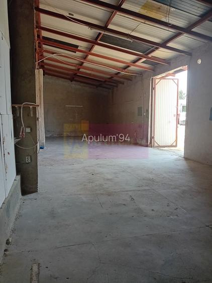 Spațiu de depozitare /productie – Sector 5, Viilor / Str. Inclinata - 3
