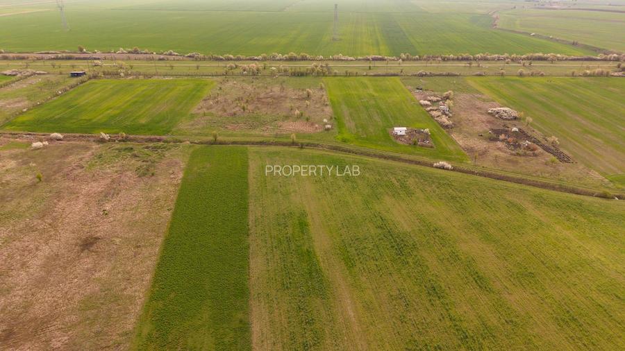 Teren intravilan 6150 mp – Sânleani, jud. Arad - 3