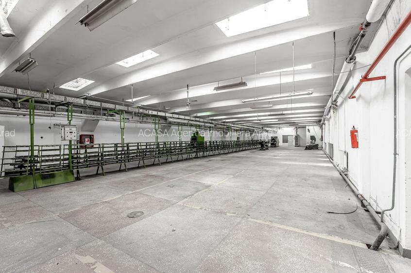 4.049 mp Hale industriale în Arad, aproape de A1 - 13