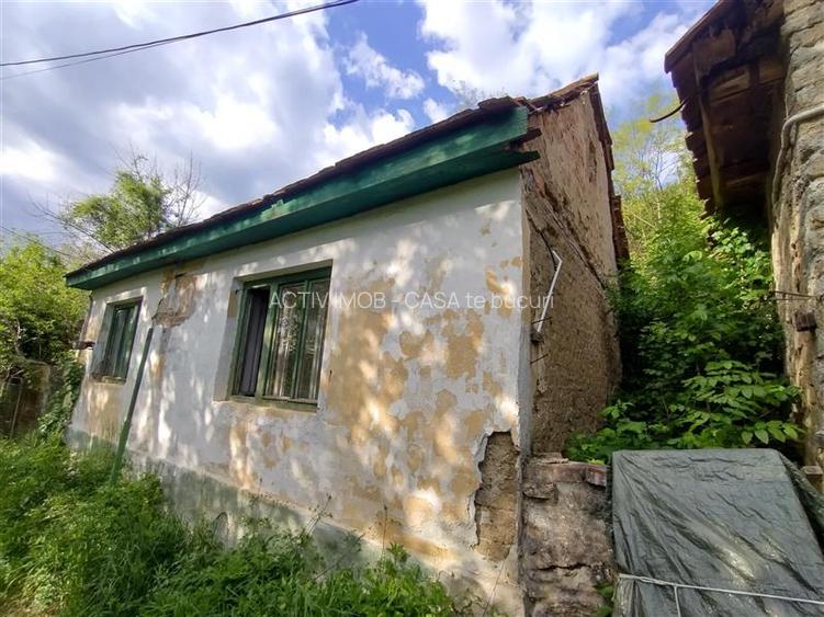 Sasca Montana | Oportunitate | Casa cu 230 MP Teren - 7