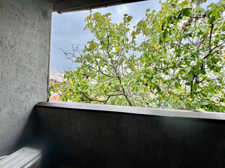 Duplex in vila cu 6 camere – Bucureștii Noi |  str. Găliceni - 30