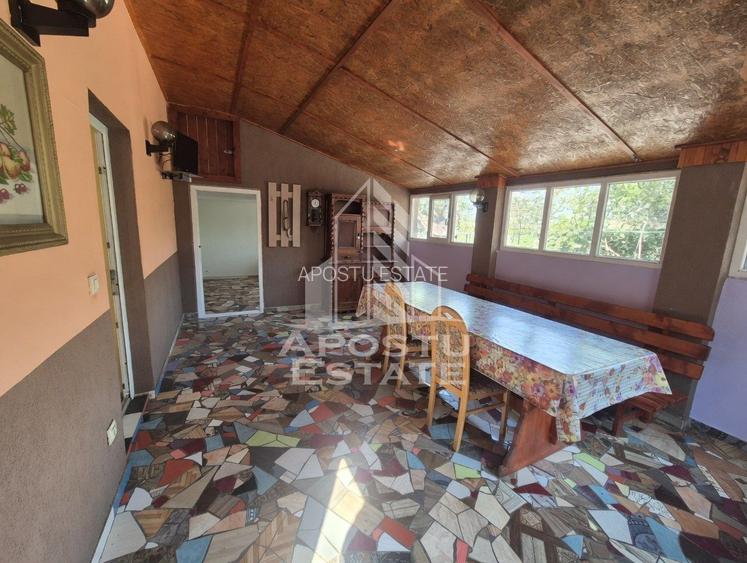 Casa spațioasă, 280 mp utili, Sânnicolau Mare - 4