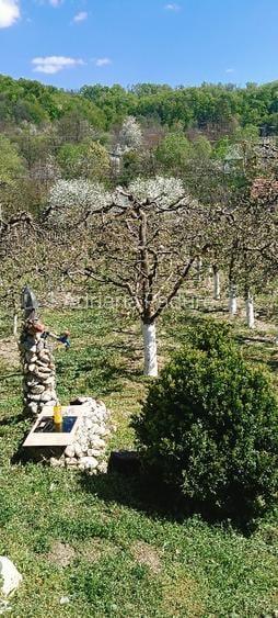 Casă cu teren de vânzare  - 10