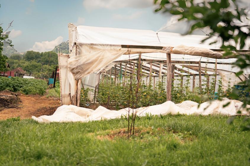 Viseaza, construieste, culege: Livada Paradisului - De Vanzare - 6