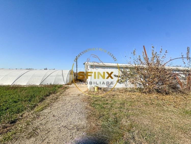 De vanzare ferma Calarasi in stare de conservare - sere - livada  - 4