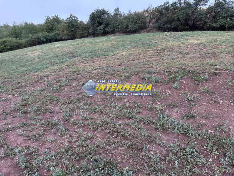 Teren intravilan de vanzare 2000 mp in Sard - 3