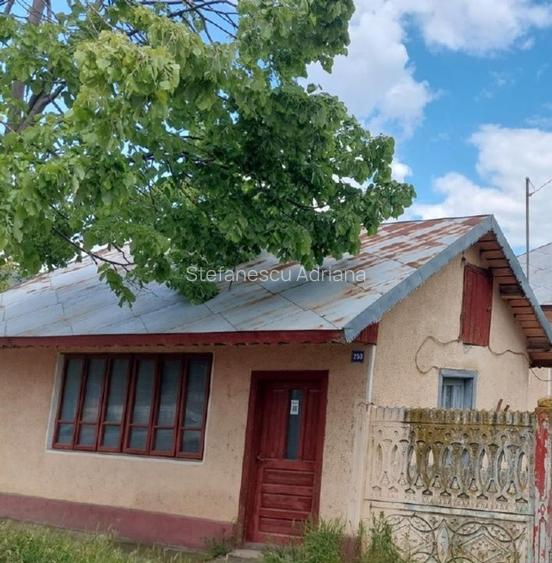 Proprietate cu 2 locuințe + spațiu comercial, 1175 mp teren – Islaz - 3