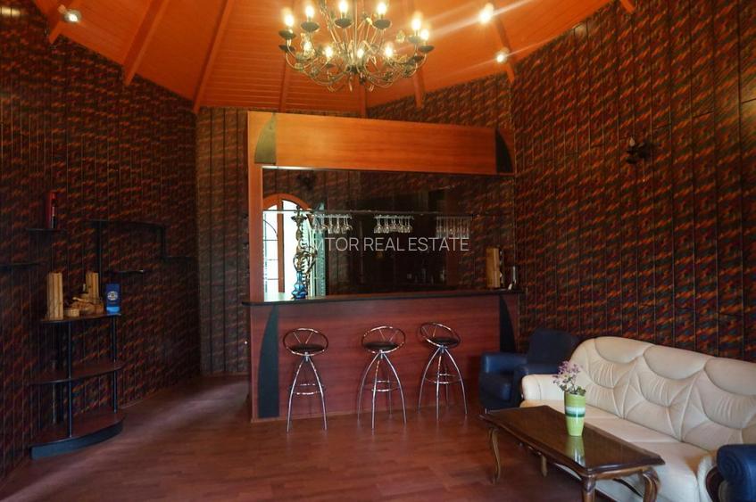 Campina Valea Doftanei Sotrile Paltinu - 14