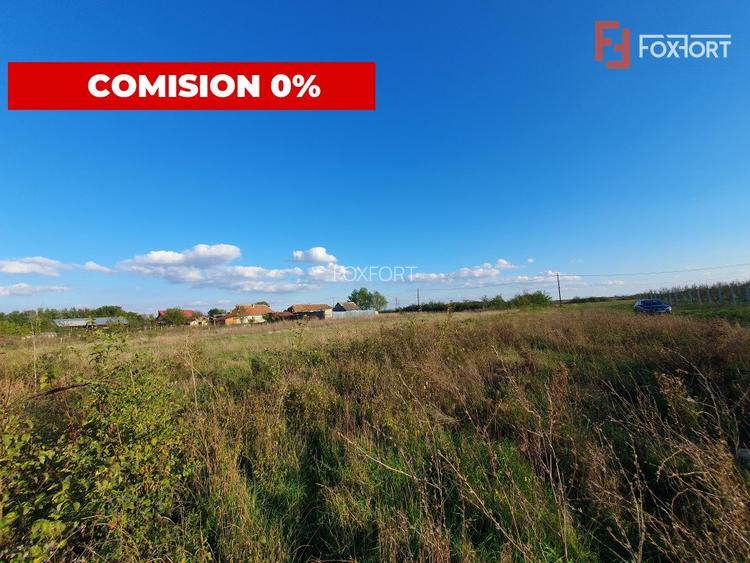 Teren intravilan de 3346 mp cu 2 fronturi - Jebel - 2