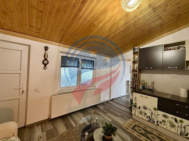 Casa cu teren generos/de vanzare/com Leu, Dolj - 14