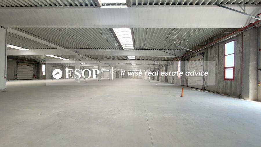 Hale industriale, parc modern, Rudeni, Chitila, Ilfov- ID 15462 - 26