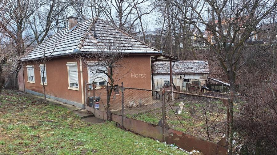 Casa de vanzare cu gradina si curte - 10