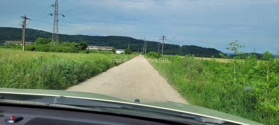 TEREN AGRICOL BABENI LANGA ABATOR LA PROVINCIA - pretabil ferma cu panour solare - 11