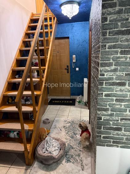 Berceni-Frumusani-Apartament de 3 camere cu centrala termica - 12