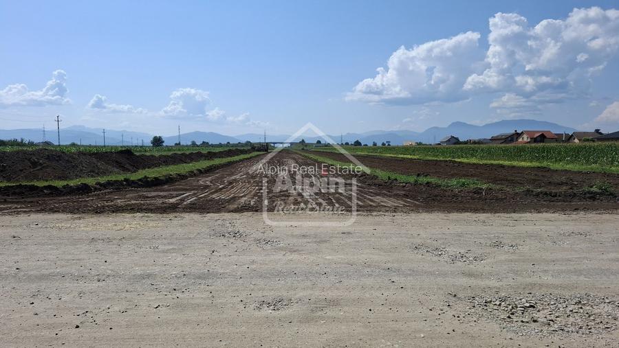 Terenuri Intravilane  Harman - 19