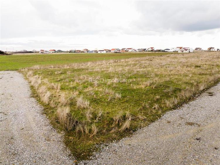 RECO Teren intravilan langa padure 500 mp cu PUZ -Sanmartin - 4