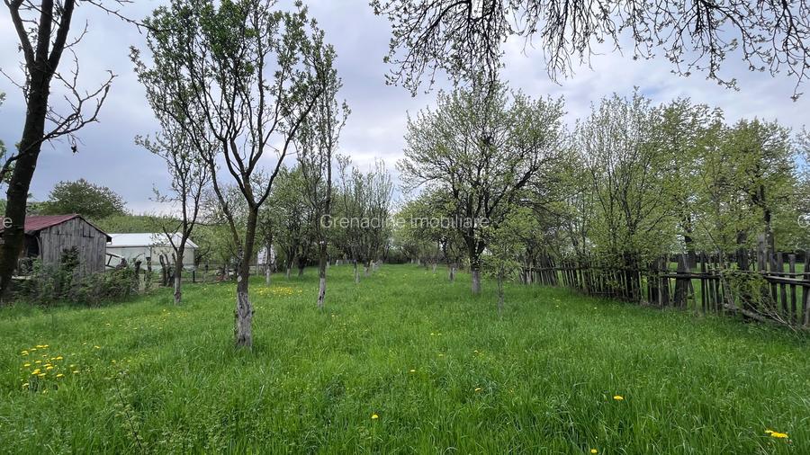 Teren intravilan de constructii si gradina 2030 mp-Tarlungeni - 5