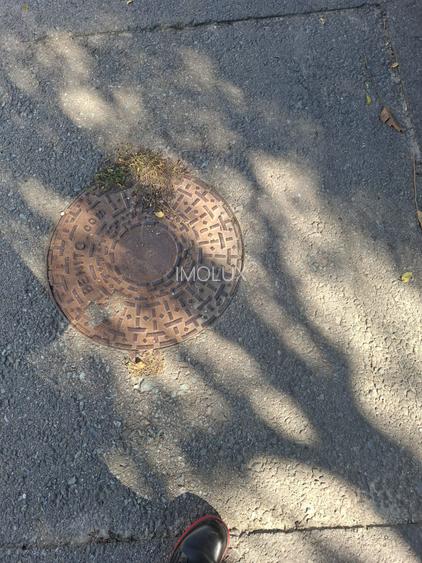 Teren | Pasarea - Branesti | Su: 700 mp | Utilitati | Ideal Casa | Investitie | - 3