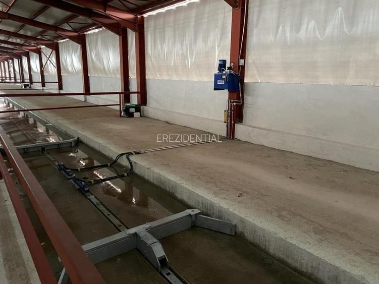 Fermă modernă  de vânzare – județul Argeș - 9