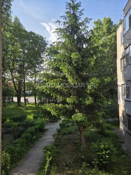 City park mall-apartament 2 camere finisat modern - 14