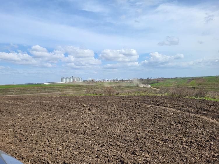 VANZARE TEREN PRUNDU INTRAVILAN AGRICOL GIURGIU POTENTIAL - 5