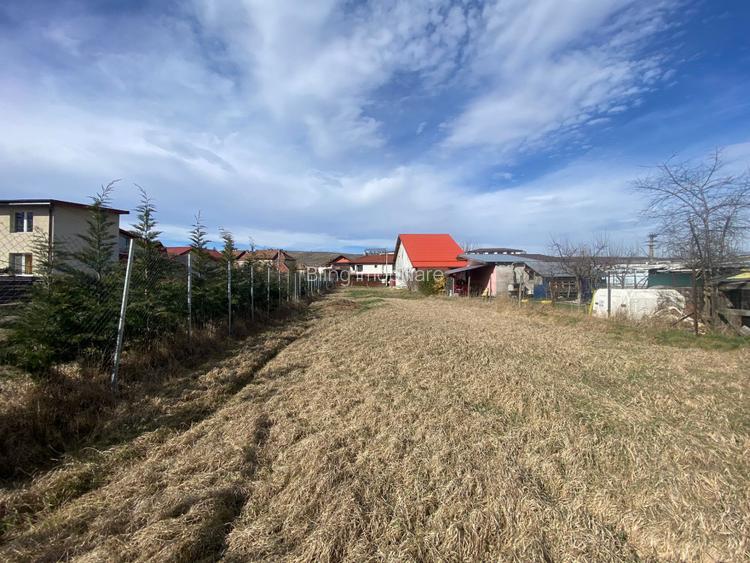 Teren  pentru investitie, 1200 mp, zona centrala, Avram Iancu. - 6