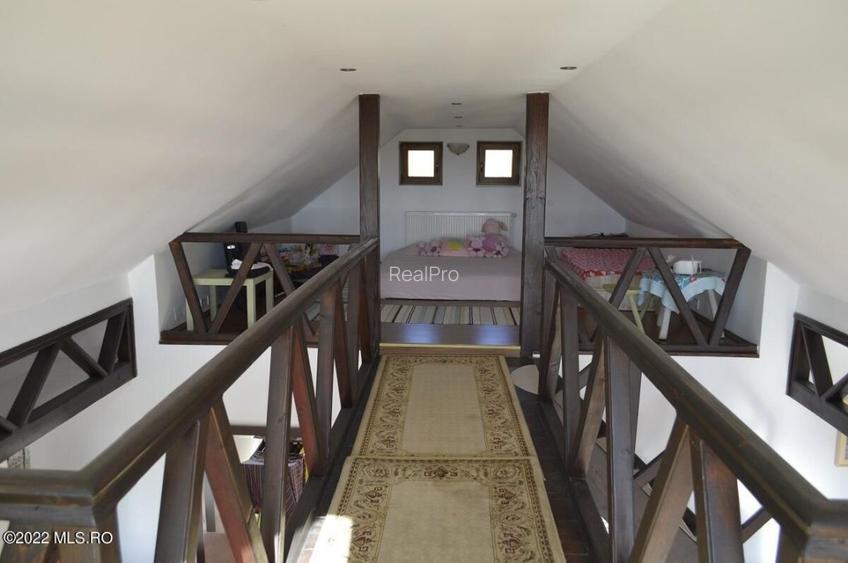 Topoloveni - Conacul Ion Mihalache, Domeniu pe 5 Hectare! - 37