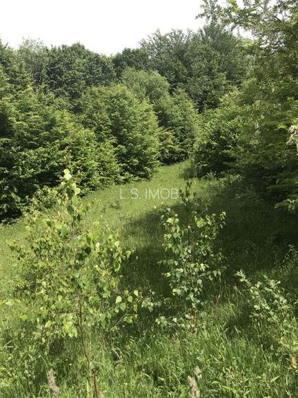 Vand teren in Albestii de Muscel faneata-pasune, partial impadurit - 3