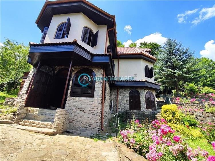 Royal Imobiliare -vanzare vila/ casa de vacanta zona CAMPINA - 29