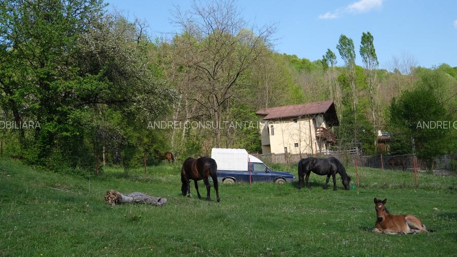 8000 Euro vanzare 220 mp teren asfalt apa gaz si curent Cosminele Prahova superb - 11